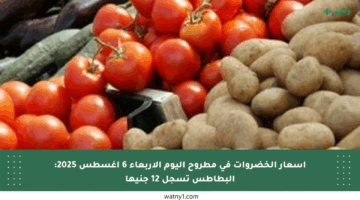 أسعار الخضروات في مطروح اليوم الأربعاء 6 أغسطس 2025: البطاطس تسجل 12 جنيها